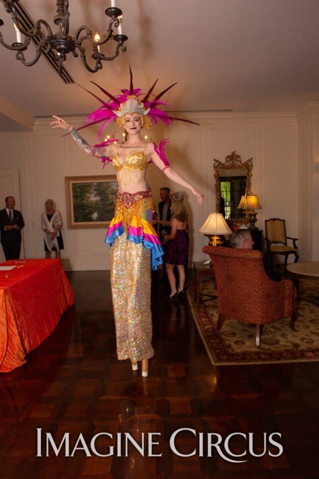 Stilt Walker, Carnival, Samba Dancer, Imagine Circus, Performers, Azul