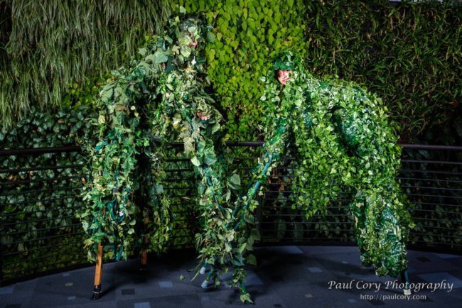 Jungle | Living Statue | Vine Quad Stilts | Performers | Imagine Circus | Cirque | Raleigh, NC