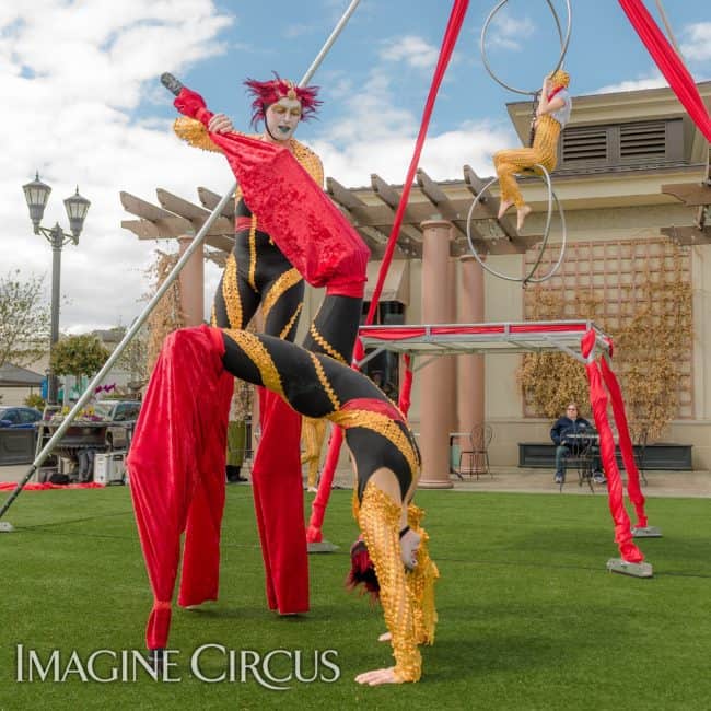 STACRO | Stilt Acrobats | Adam & Liz Bliss | Imagine Circus | North Hills | Photo by Slater Mapp