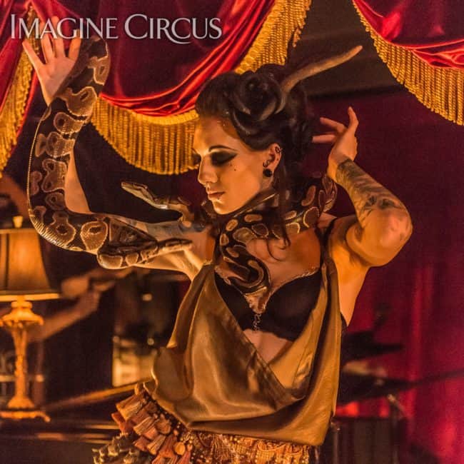 Tik-tok, Sexy Snake Charmer, Strip Tease, C Grace, Imagine Circus, Photo by Slater Mapp