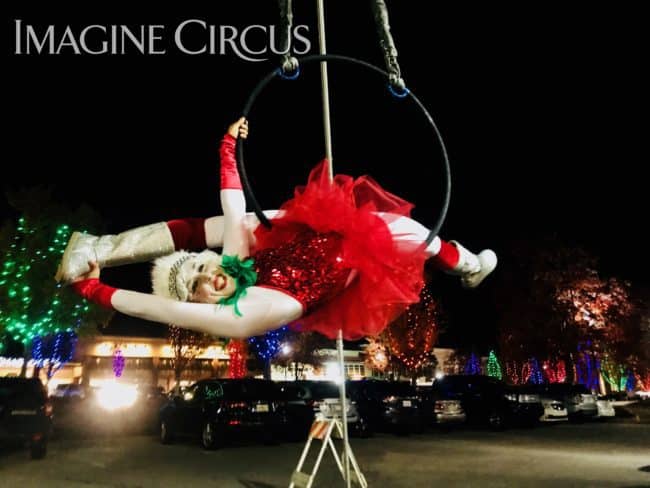 Aerial Hoop, Aerial Dancer, Winter Holiday, Cameron Village, Performer, Liz, Imagine Circus