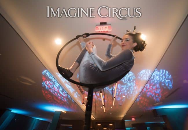 Aerial Bartender, Aerial Hoop Performer, Kaci, Chapel Hill, NC, Imagine Circus, Photo by Adrian Moreno of amproductphotography.com