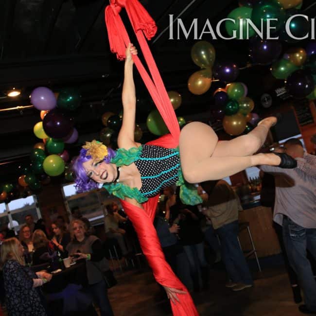 Aerial Silks, Aerial Dancer, Mardi Gras, Imagine Circus, Performer, Liz, Photo by Ted Lewis