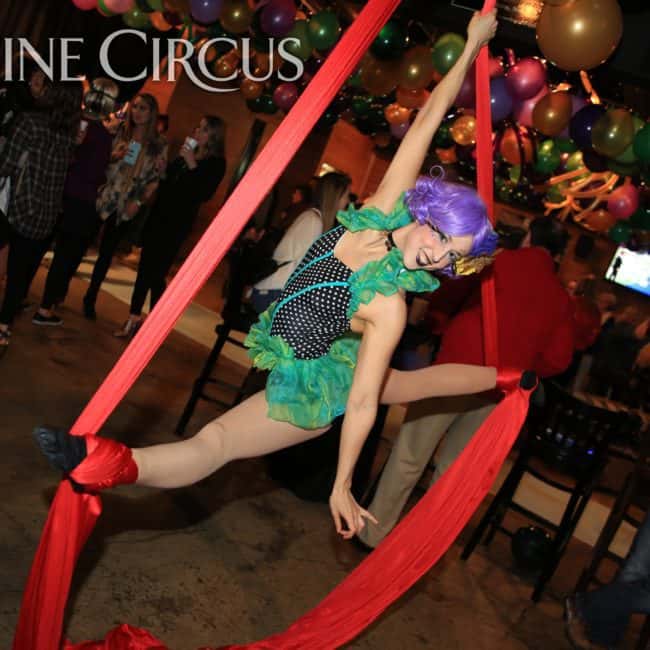 Aerial Silks, Aerial Dancer, Mardi Gras, Imagine Circus, Performer, Liz, Photo by Ted Lewis