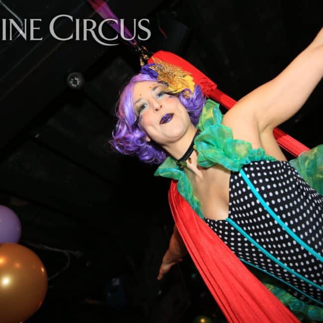 Aerial Silks, Aerial Dancer, Mardi Gras, Imagine Circus, Performer, Liz, Photo by Ted Lewis