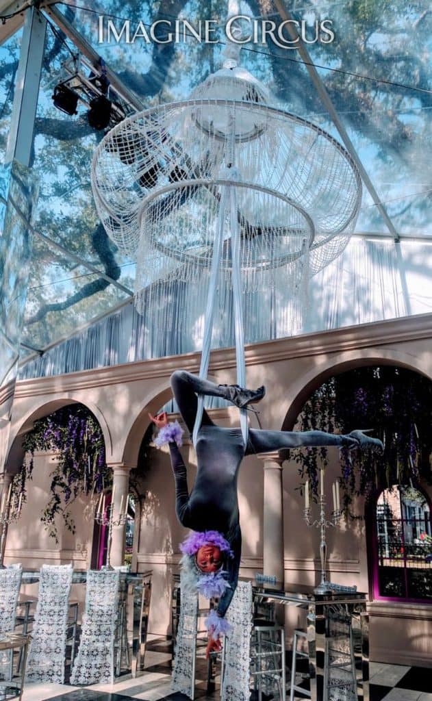 Aerial Bartender, Aerial Chandelier, Upscale Entertainment, Performer, Kaci, Imagine Circus