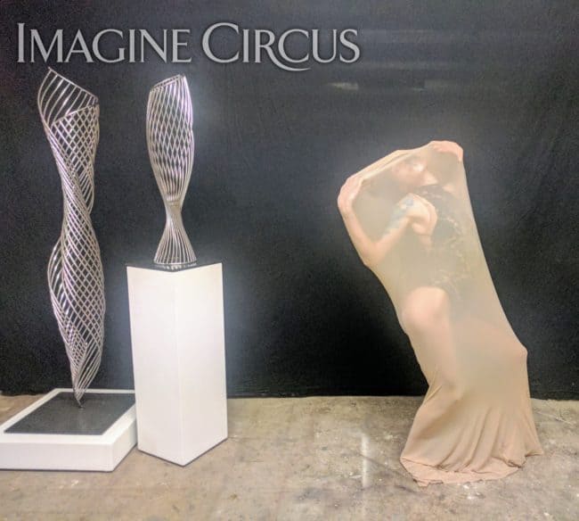 Fabric Dancer, Unique Sexy Act, Performer, Tik Tok, Imagine Circus