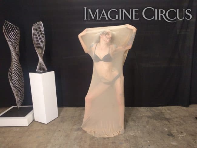 Fabric Dancer, Unique Sexy Act, LED Performer, Tik Tok, Imagine Circus