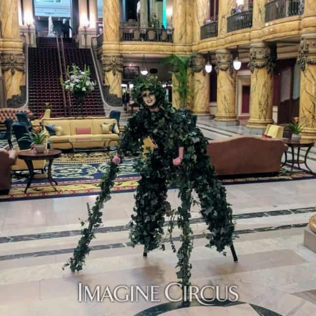 Vine Stilt Walker, Enchanted Forest Party, Imagine Circus, Performer, Kaci