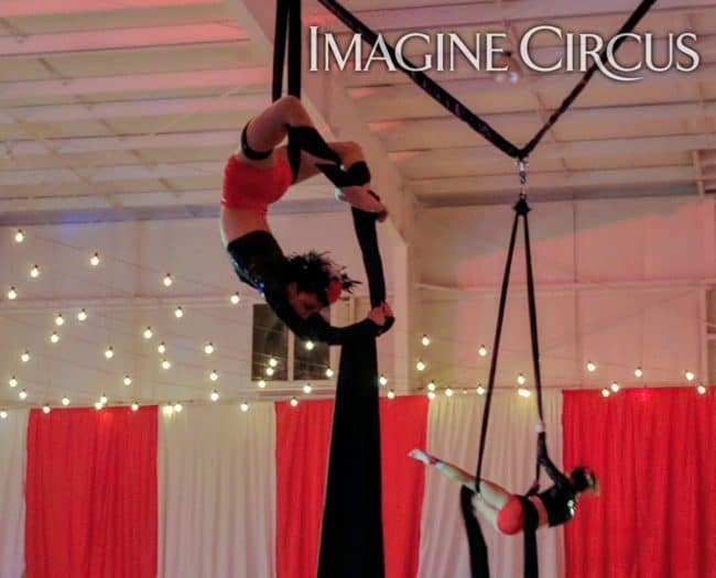 Aerial Silks, Aerialist, Upscale Event Entertainment, Wilmington, NC, Imagine Circus, Performer, Liz, Jennifer Simpson Photography