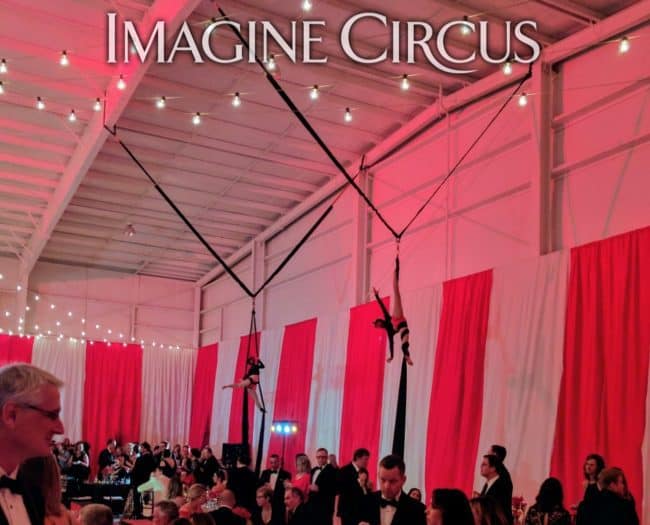 Aerial Silks, Aerialist, Upscale Event Entertainment, Wilmington, NC, Imagine Circus, Performers, Jennifer Simpson Photography