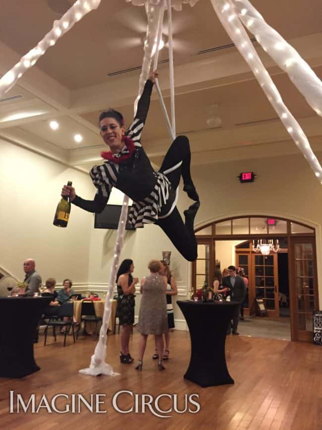 Aerial Bartender, LED Aerial Rig, Aerialist, Imagine Circus, Performer, Liz
