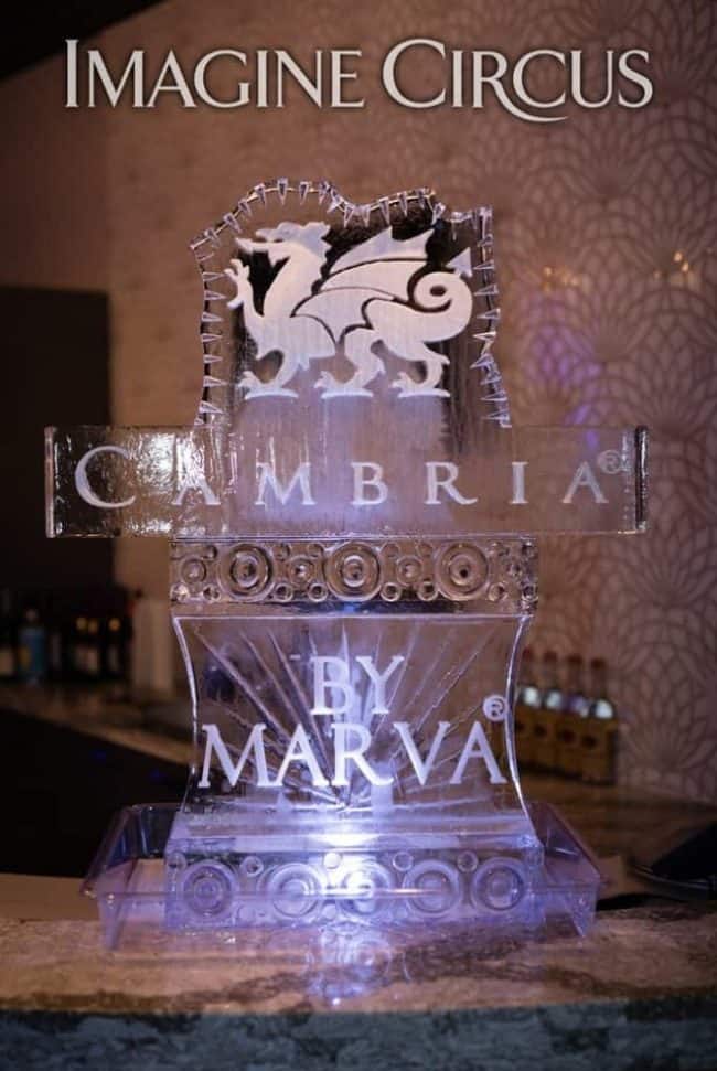 Corporate Events, Cambria, Charlotte, NC, Imagine Circus, Photo by Rick Belden