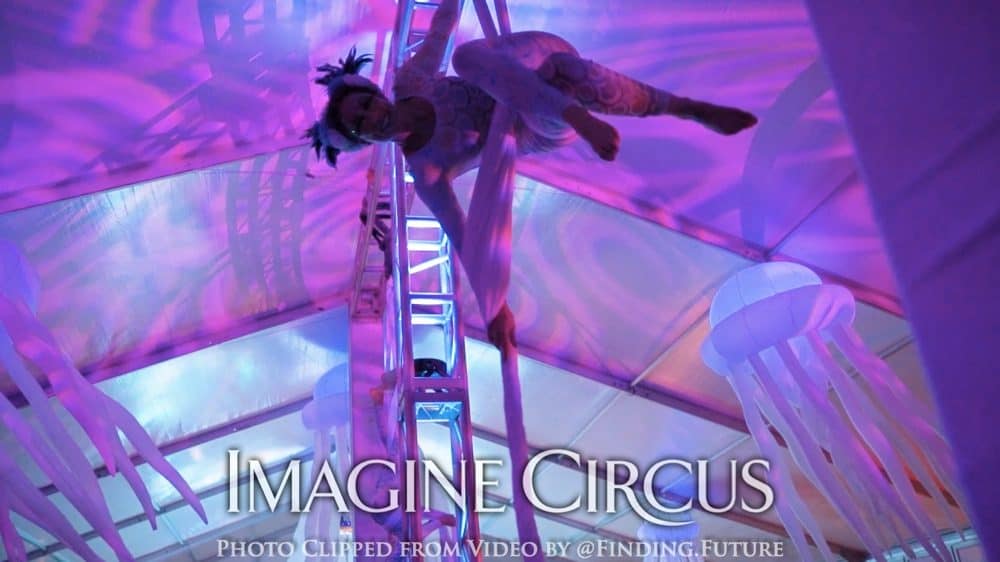 Aerial Dancers, Mermaid, Performer, Liz, Imagine Circus, Photo by Finding Future