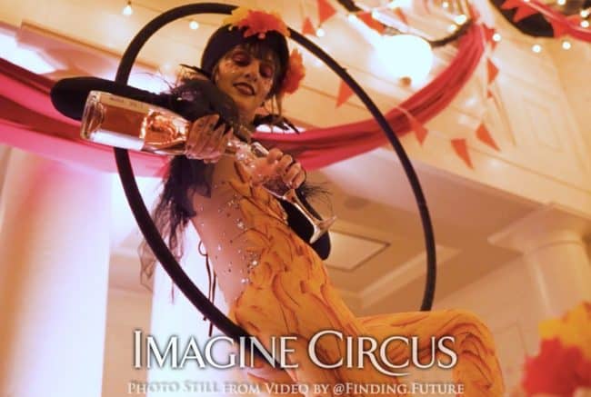 Gold, Yellow, Cirque Bird, Aerial Bartending, Lollipop Lyra, Oddball Gala, Imagine Circus, Performer, Tik-Tok, Photo Still from Video by Finding Future