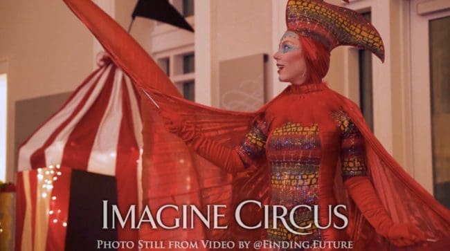 Stephanie, Red Gold Bird, Isis Wing Dancer, Imagine Circus, Spartanburg, Oddball, Photo Still from Video by Finding Future