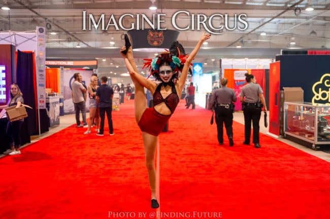 Dark Circus, Acrobat, Kaci, Vapers Carnivale, Imagine Circus Performers, Photo by Finding Future