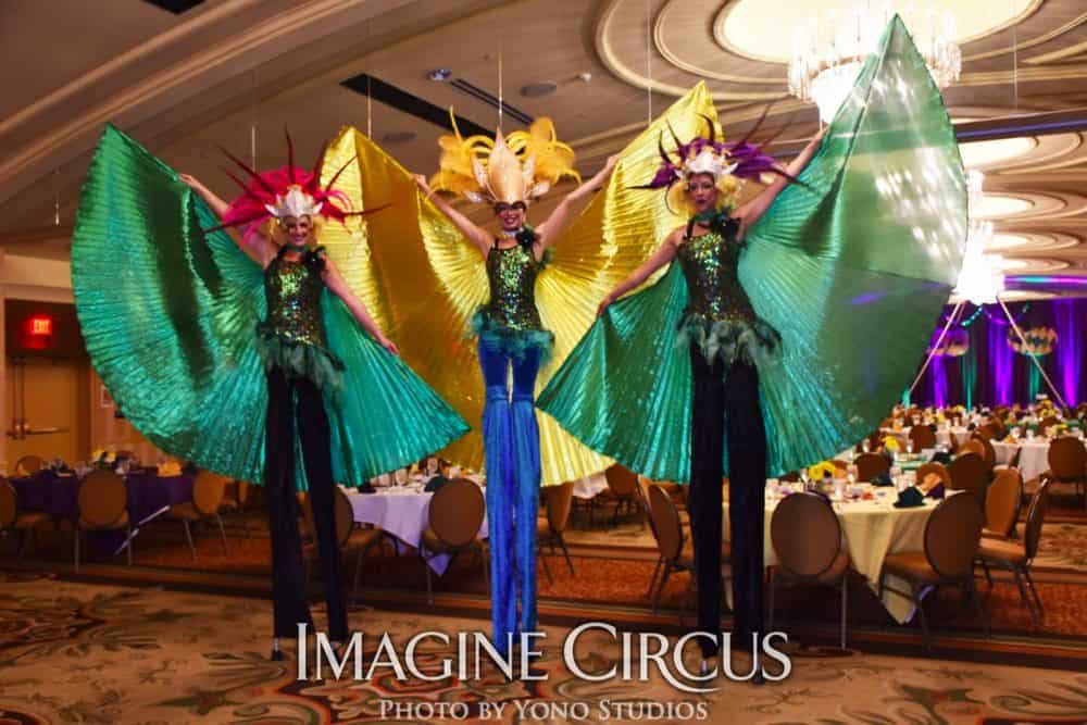 Mardi Gras Stilt Walkers with Isis Wings, Katie, Kaci, Liz, Louisville KY, Imagine Circus Performers, Photo by Yono Studios