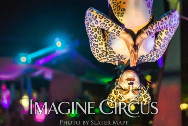 Aerial Dancer, Silks Hammock, Katie, Safari Wild Cheetah Leopard Costume, Floyd Fest Music Festival_Imagine Circus, Photo by Slater Mapp