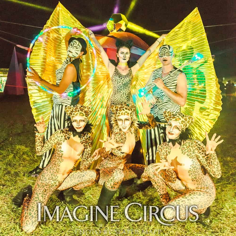Imagine Circus Entertainment & Performers for Music & Arts Festival