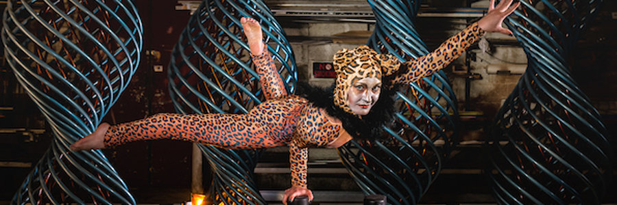 Jungle Theme, Blog Feature Image, Imagine Circus