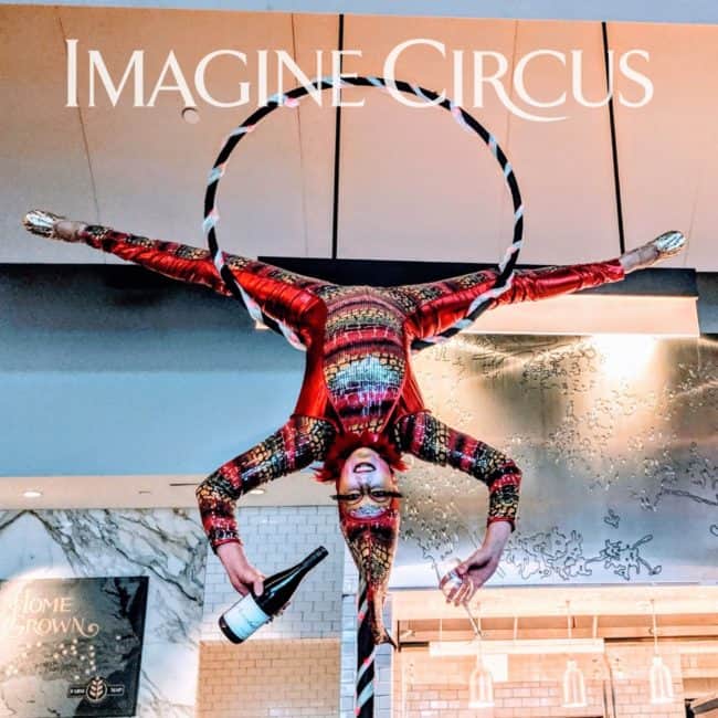 Lollipop Lyra Dancer, Aerial Bartender, Cirque Red Jungle Bird, Katie, Westin Hotel, Imagine Circus Performer