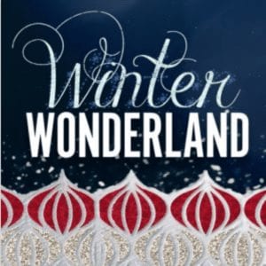 Park West Village, Winter Wonderland, Morrisville, NC, Imagine Circus
