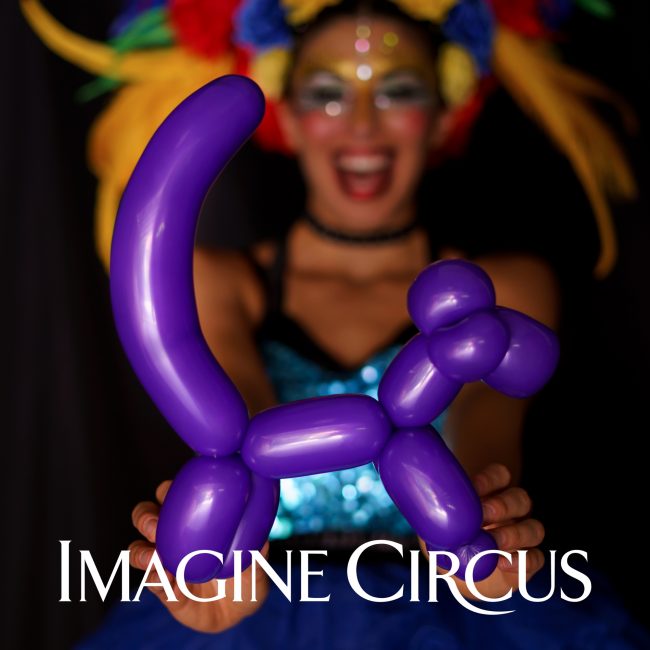 Balloon Twisters, Kaci, Raleigh NC, Imagine Circus, Photo by JLewis Media