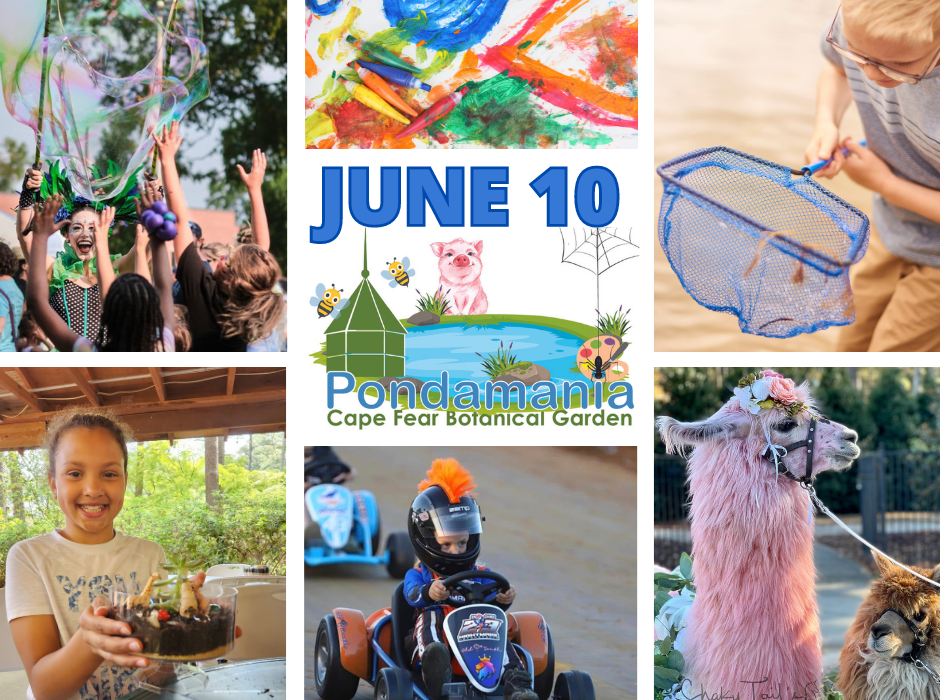 Cape Fear Botanical Garden, Pondamania, Imagine Circus