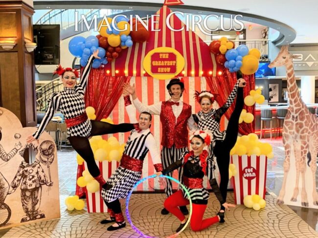 Imagine Circus, Acrobatics, Group Show, Unde the Big Top, Performers, Circus Entertainment