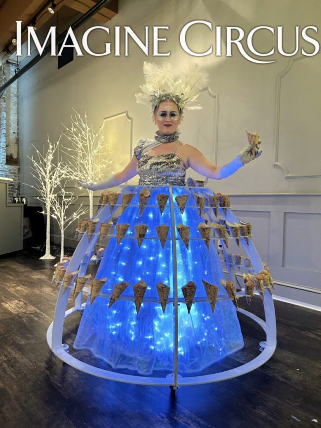 LED Champagne Dress White & Silver, Imagine Circus