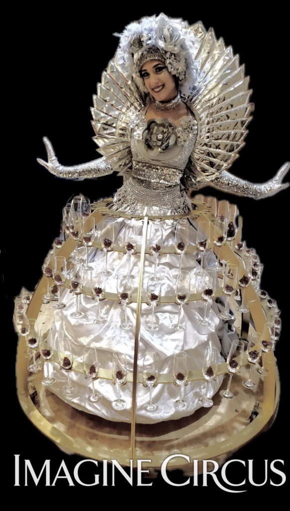 Imagine Circus, Champagne Dress Hostess, Beverage Skirt, Silver and White, Upscale Performers