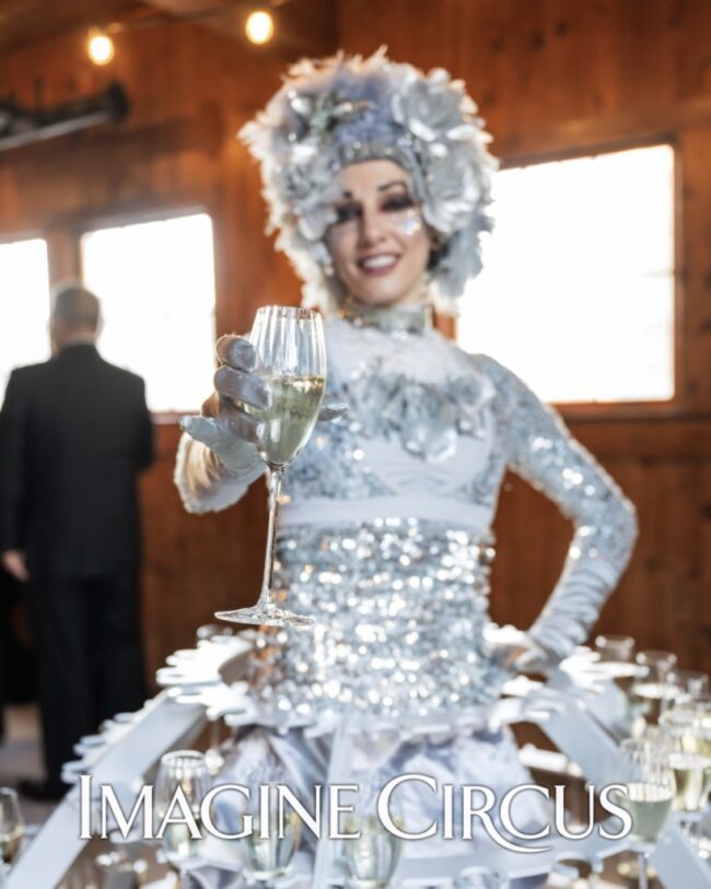 Imagine Circus, Champagne Dress, Silver, Upscale Event