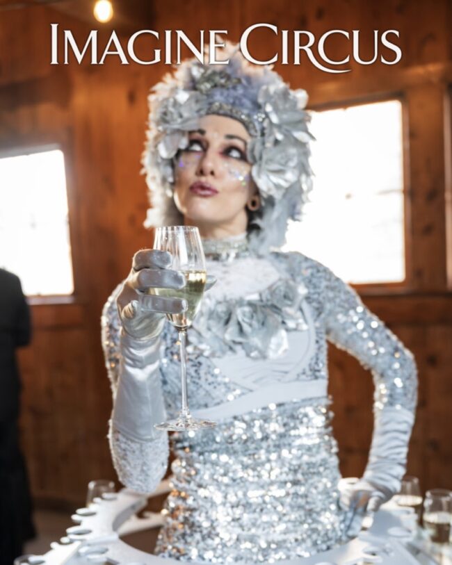 Imagine Circus, Champagne Dress, Silver, Upscale Event