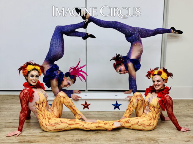 Imagine Circus, Contortionist, Jungle, Upscale Performers